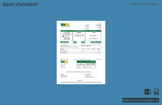 USA Waste Management Kontoauszug Excel-Beispiel (Vorschau)